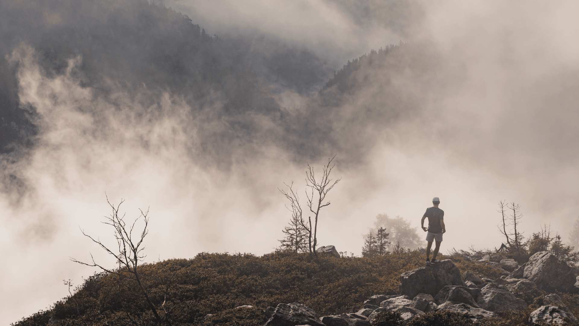 Misty mountain trail